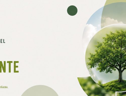 3RS Gestión celebra el Día Mundial del Medio Ambiente